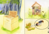 Original Don Bosco Kamishibai Bildkartenset. Wie wir Schmetterling und Biene in unseren Garten locken